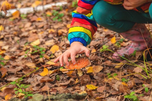 Activități de toamnă pentru copii cu frunze și materiale naturale